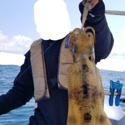 ソルトウォーターガイドフレンズ 釣果