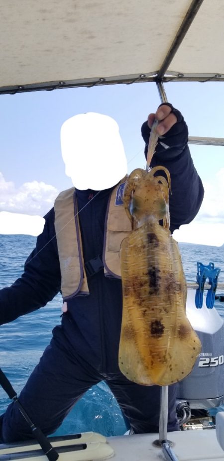 ソルトウォーターガイドフレンズ 釣果