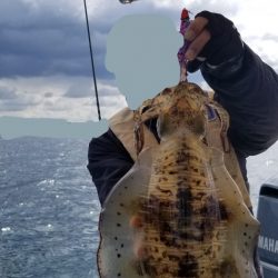 ソルトウォーターガイドフレンズ 釣果