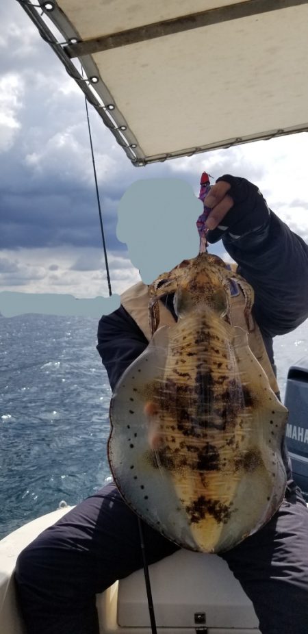 ソルトウォーターガイドフレンズ 釣果