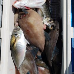 海龍丸（石川） 釣果