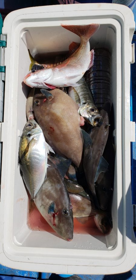 海龍丸（石川） 釣果