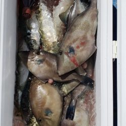 海龍丸（石川） 釣果