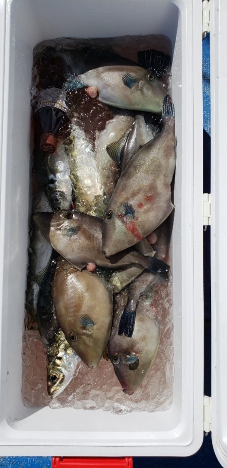 海龍丸（石川） 釣果