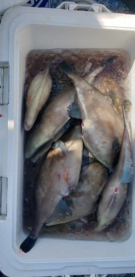 海龍丸（石川） 釣果