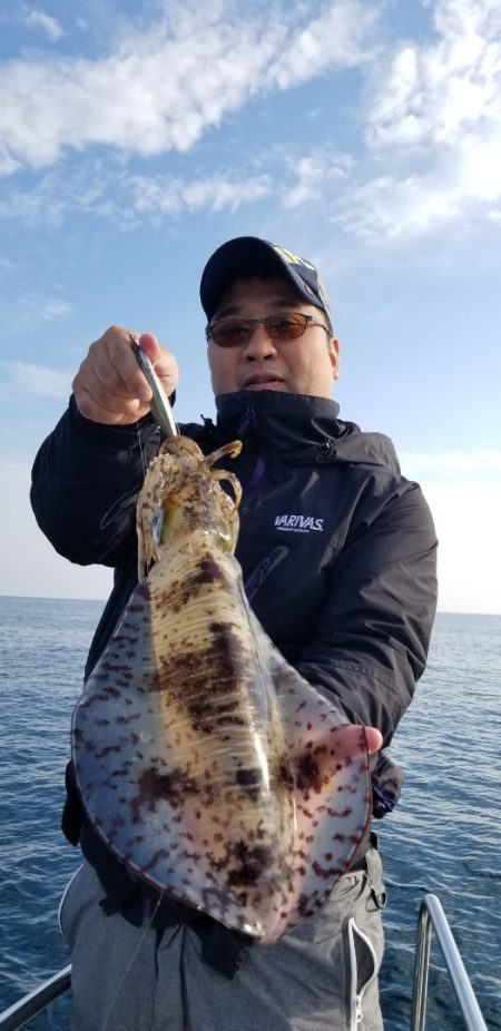 ソルトウォーターガイドフレンズ 釣果