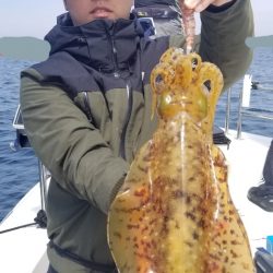 ソルトウォーターガイドフレンズ 釣果