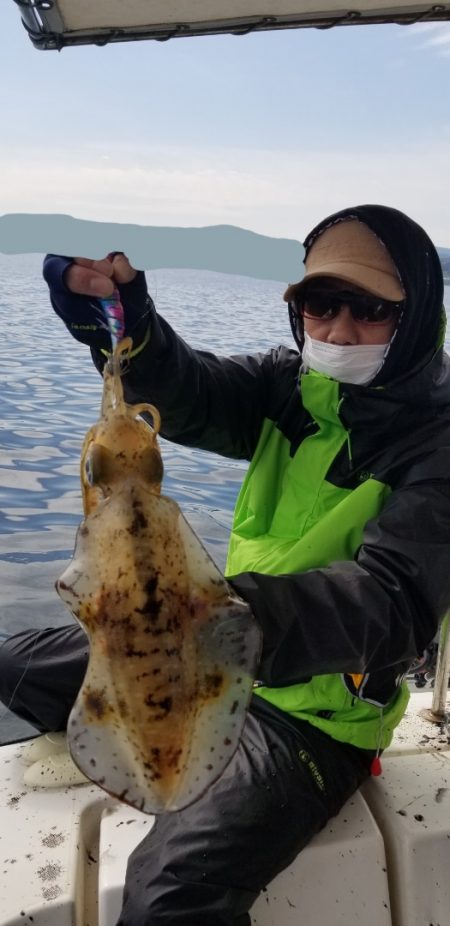 ソルトウォーターガイドフレンズ 釣果