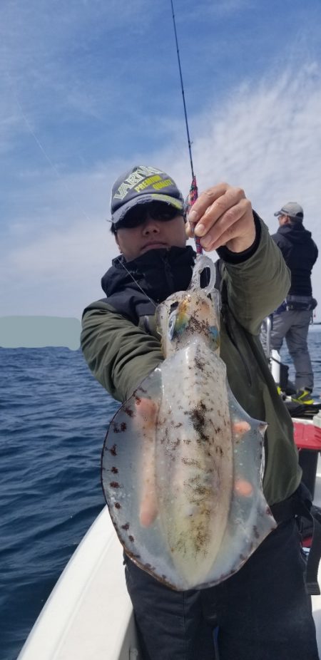 ソルトウォーターガイドフレンズ 釣果