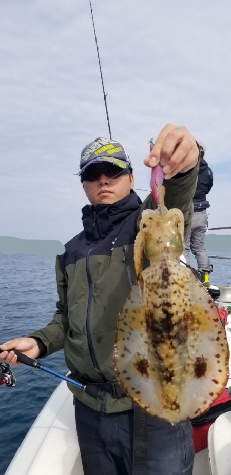 ソルトウォーターガイドフレンズ 釣果