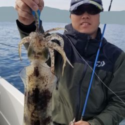 ソルトウォーターガイドフレンズ 釣果