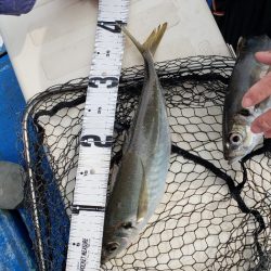 海龍丸（石川） 釣果