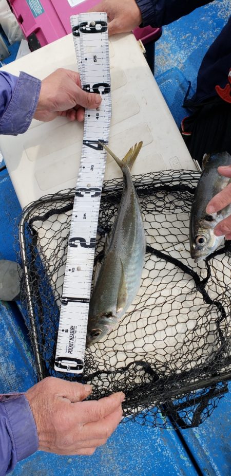 海龍丸（石川） 釣果