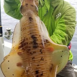 ソルトウォーターガイドフレンズ 釣果