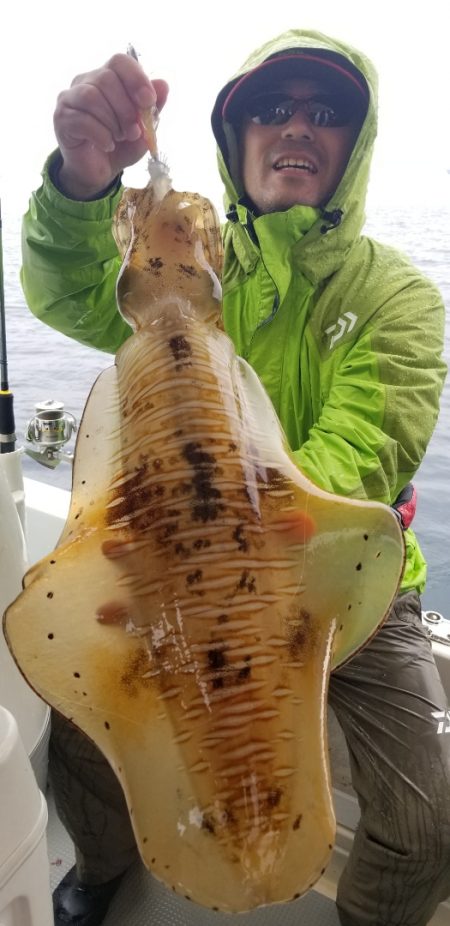 ソルトウォーターガイドフレンズ 釣果