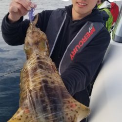 ソルトウォーターガイドフレンズ 釣果