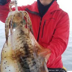 ソルトウォーターガイドフレンズ 釣果