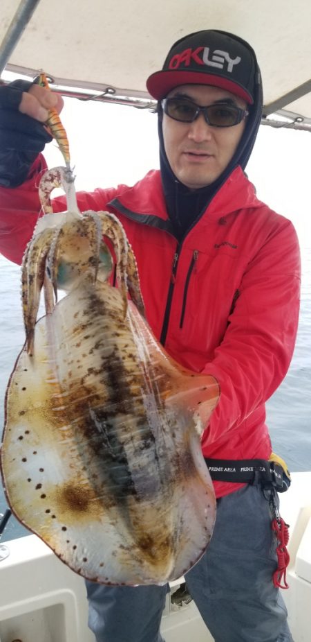 ソルトウォーターガイドフレンズ 釣果