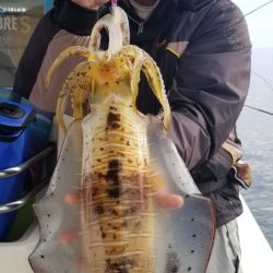 ソルトウォーターガイドフレンズ 釣果