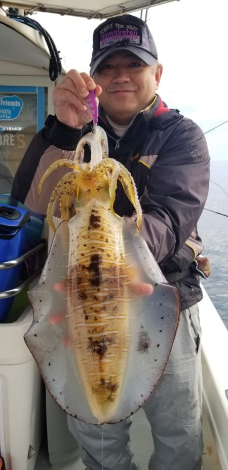 ソルトウォーターガイドフレンズ 釣果