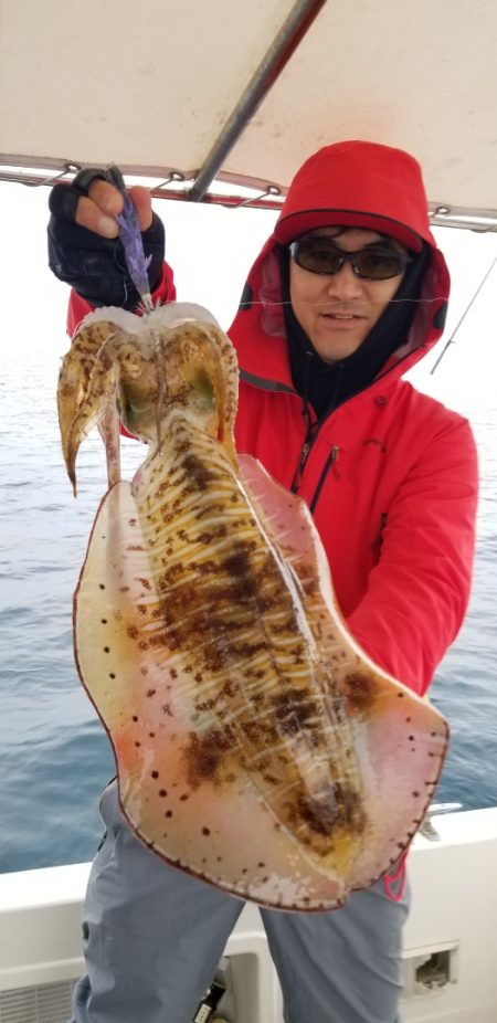 ソルトウォーターガイドフレンズ 釣果