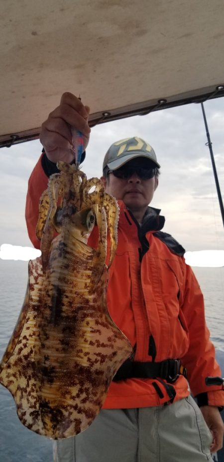 ソルトウォーターガイドフレンズ 釣果