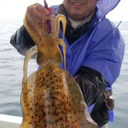 ソルトウォーターガイドフレンズ 釣果