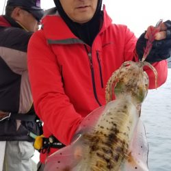 ソルトウォーターガイドフレンズ 釣果