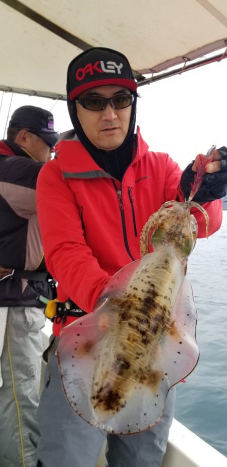 ソルトウォーターガイドフレンズ 釣果