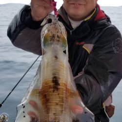 ソルトウォーターガイドフレンズ 釣果