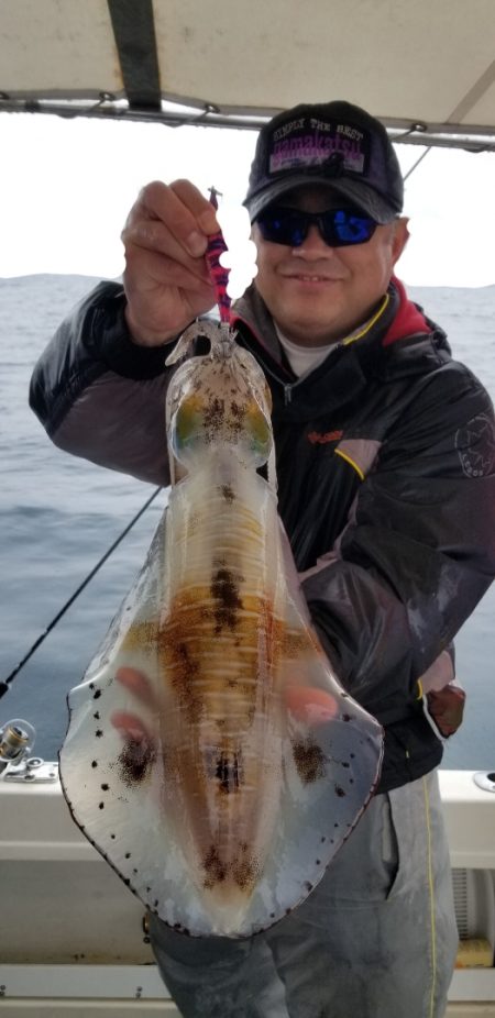 ソルトウォーターガイドフレンズ 釣果