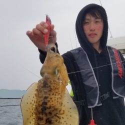 ソルトウォーターガイドフレンズ 釣果