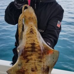 ソルトウォーターガイドフレンズ 釣果