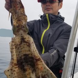 ソルトウォーターガイドフレンズ 釣果