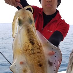 ソルトウォーターガイドフレンズ 釣果