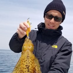 ソルトウォーターガイドフレンズ 釣果