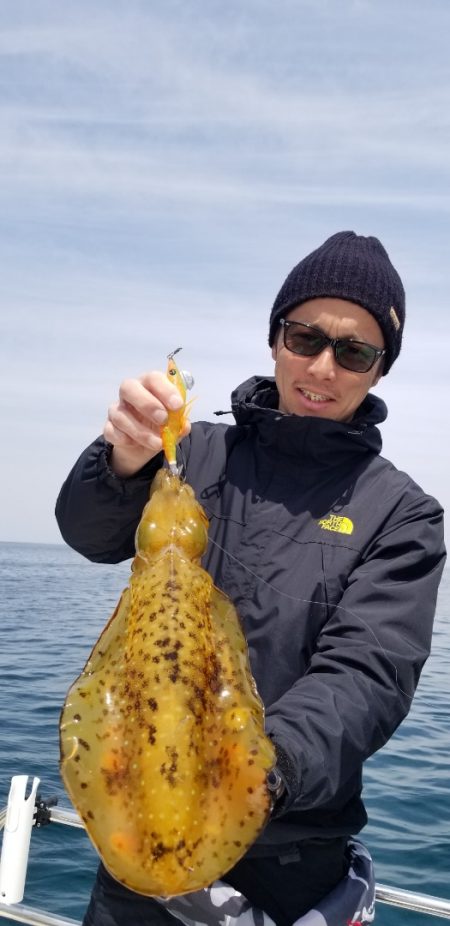 ソルトウォーターガイドフレンズ 釣果