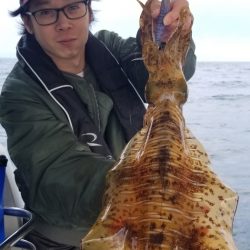 ソルトウォーターガイドフレンズ 釣果