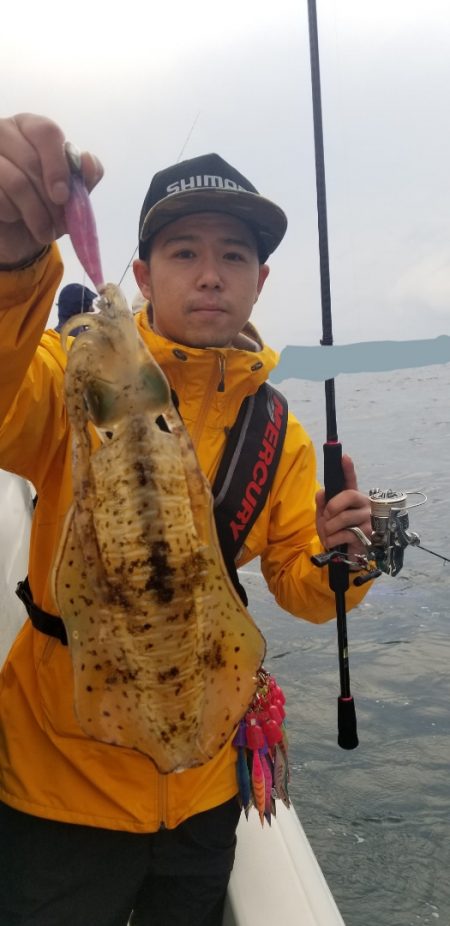 ソルトウォーターガイドフレンズ 釣果