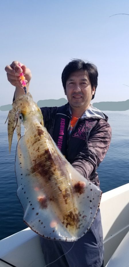 ソルトウォーターガイドフレンズ 釣果