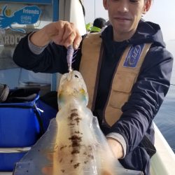 ソルトウォーターガイドフレンズ 釣果