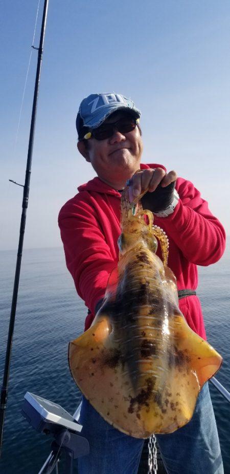 ソルトウォーターガイドフレンズ 釣果