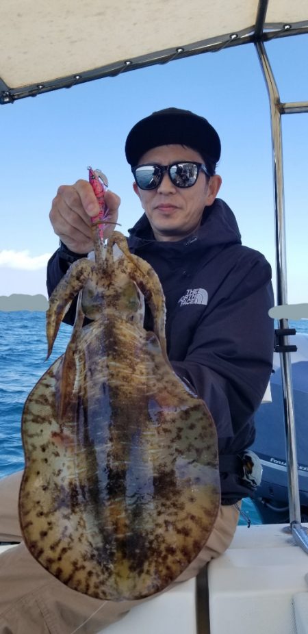 ソルトウォーターガイドフレンズ 釣果