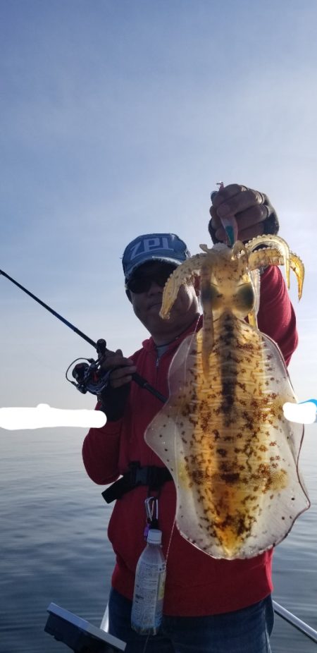 ソルトウォーターガイドフレンズ 釣果