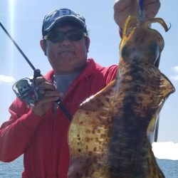 ソルトウォーターガイドフレンズ 釣果