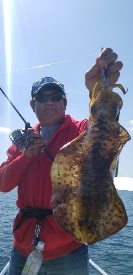 ソルトウォーターガイドフレンズ 釣果