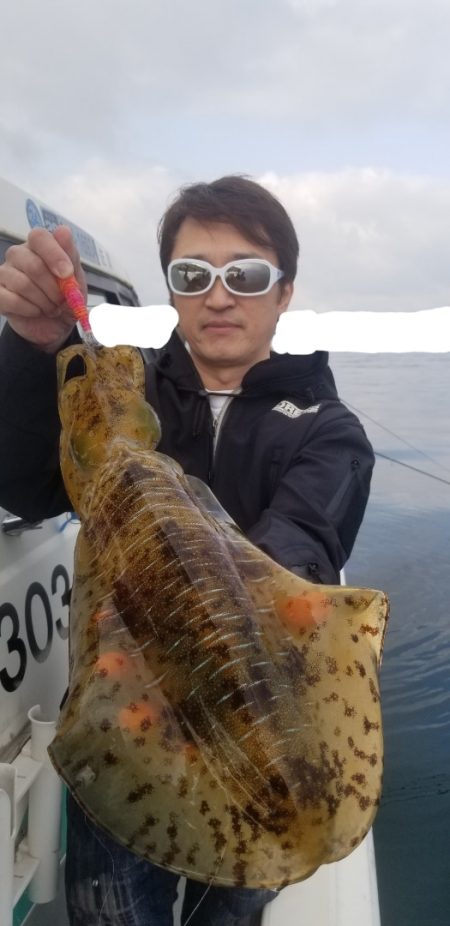 ソルトウォーターガイドフレンズ 釣果