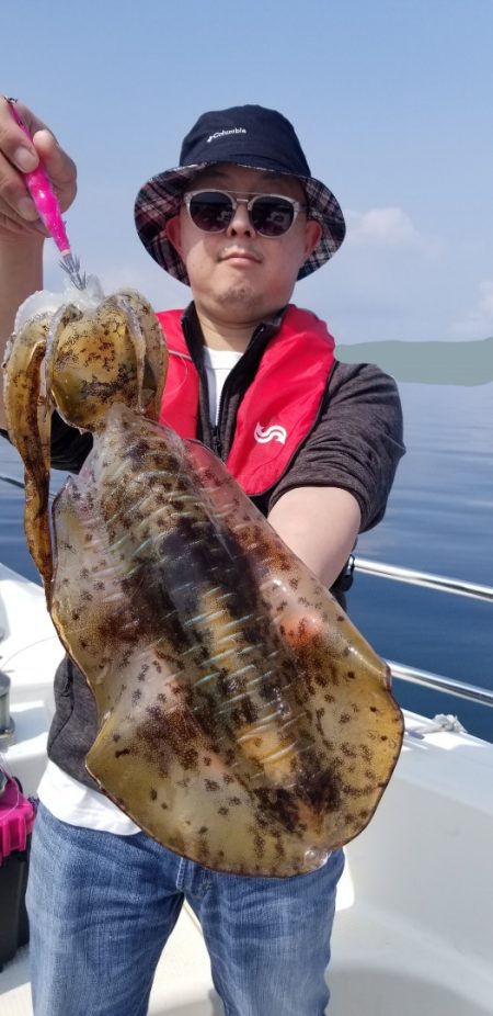 ソルトウォーターガイドフレンズ 釣果