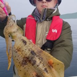 ソルトウォーターガイドフレンズ 釣果