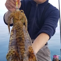 ソルトウォーターガイドフレンズ 釣果